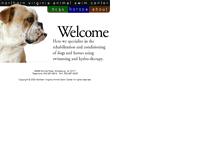 Tablet Screenshot of animalswimcenter.com